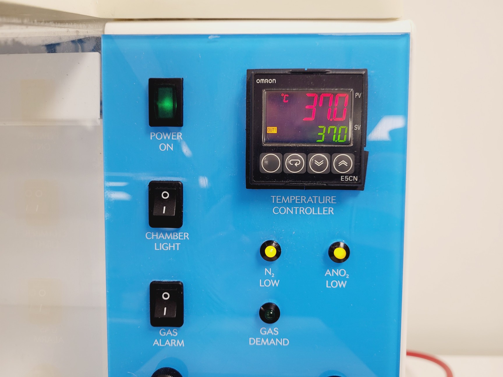 Image of Baker Ruskinn BUGBOX Anaerobic Cabinet Lab