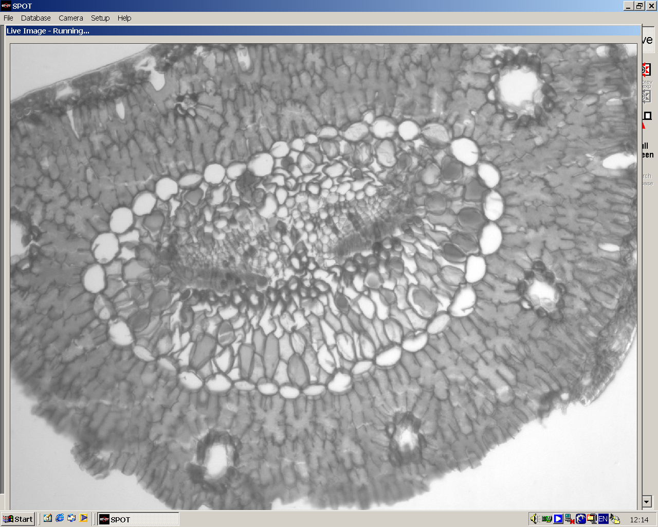 Image of Nikon Eclipse E600 Microscope System w/ PC & Monitor