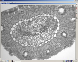 Thumbnail image of Nikon Eclipse E600 Microscope System w/ PC & Monitor