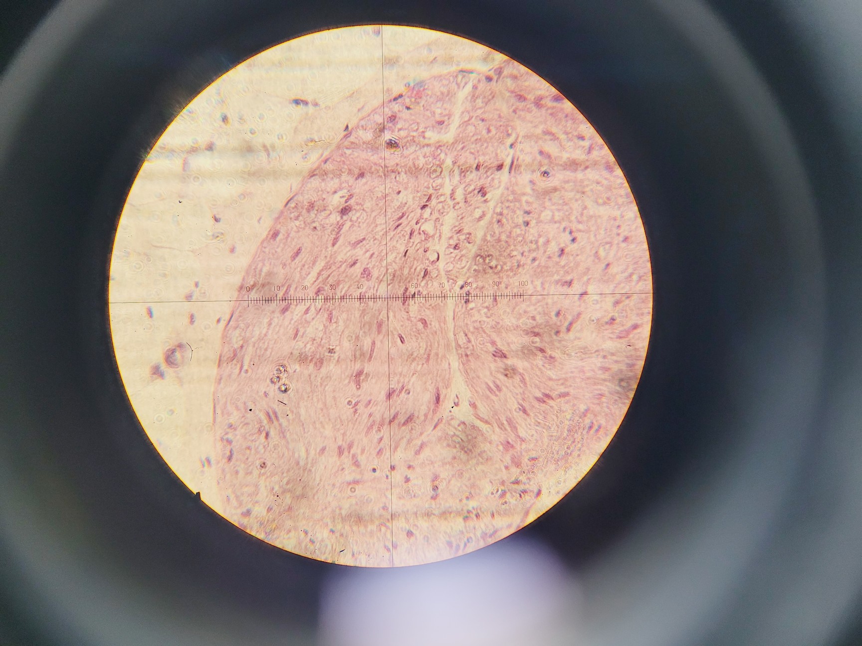 Image of Dilor XY-800 Double Monochromator Spectrometer w/ Nitrogen Cooled CCD Detector 