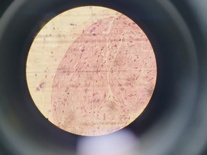 Thumbnail image of Dilor XY-800 Double Monochromator Spectrometer w/ Nitrogen Cooled CCD Detector 