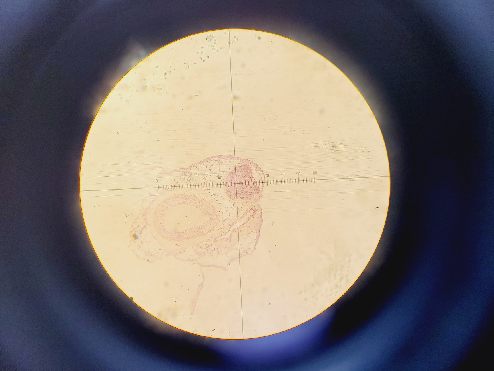Image of Dilor XY-800 Double Monochromator Spectrometer w/ Nitrogen Cooled CCD Detector 