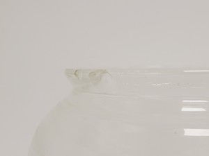 Thumbnail image of Electrolab 10L Glass Bioreactor Vessel