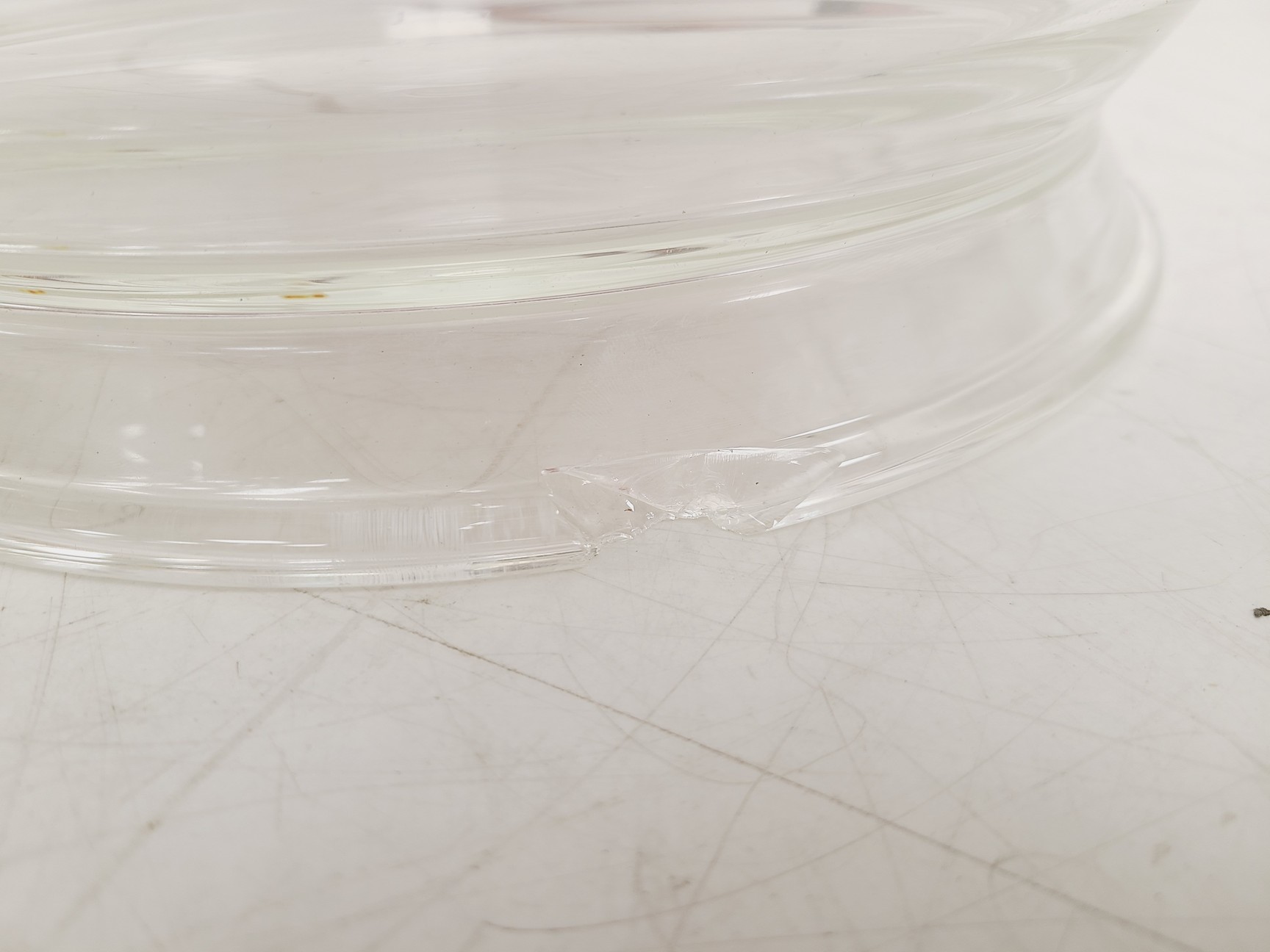 Image of Electrolab 10L Glass Bioreactor Vessel with Heating Jacket