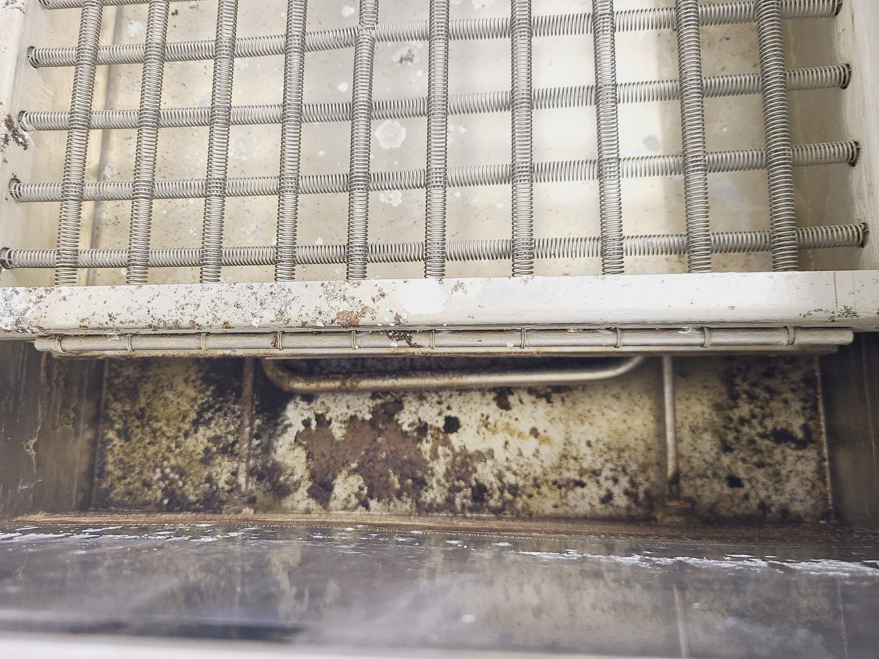 Image of Grant SS40-D2 Shaking Waterbath