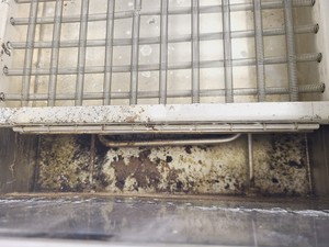 Thumbnail image of Grant SS40-D2 Shaking Waterbath