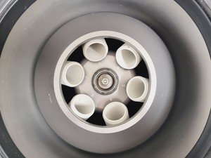Thumbnail image of Heraeus Biofuge Primo R Benchtop Centrifuge