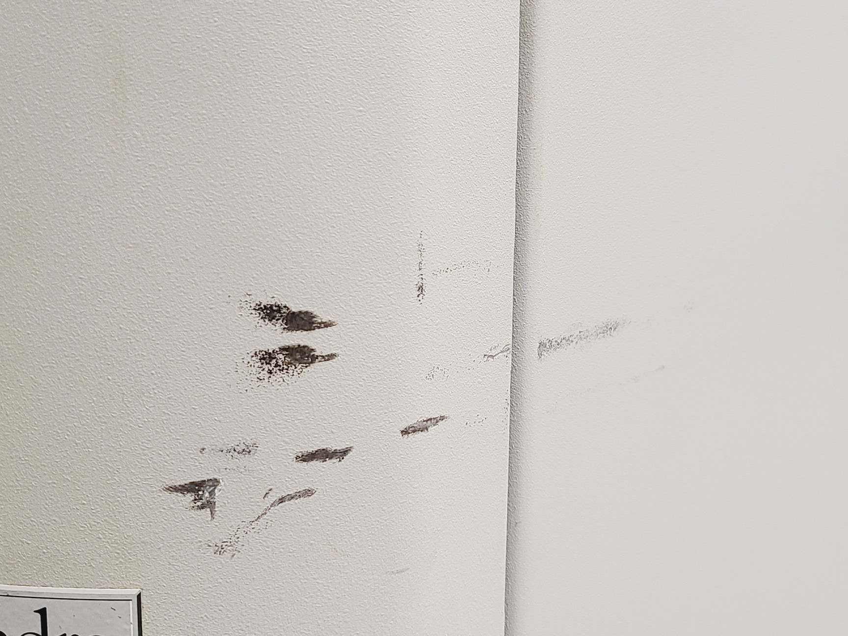 Image of Sorvall Ultracentrifuge Evolution RC