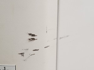 Thumbnail image of Sorvall Ultracentrifuge Evolution RC