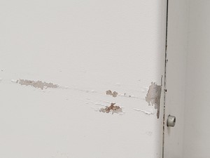 Thumbnail image of Sorvall Ultracentrifuge Evolution RC