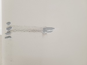 Thumbnail image of Beckman Coulter Optima L-100 XP Ultracentrifuge