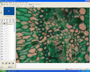 Thumbnail image of Olympus IX81 with Olympus MT20 Cell IR System