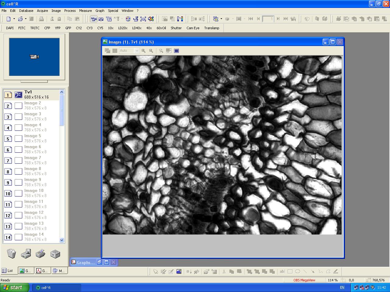 Image of Olympus IX81 with Olympus MT20 Cell IR System