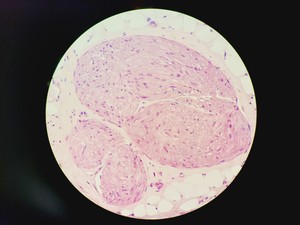 Thumbnail image of Leica DM IRB Inverted Microscope, Incubation Chamber, EBQ 100 & Hot Air Blower