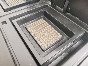 Thumbnail image of G-Storm GS0004M PCR Machine Thermal Cycler