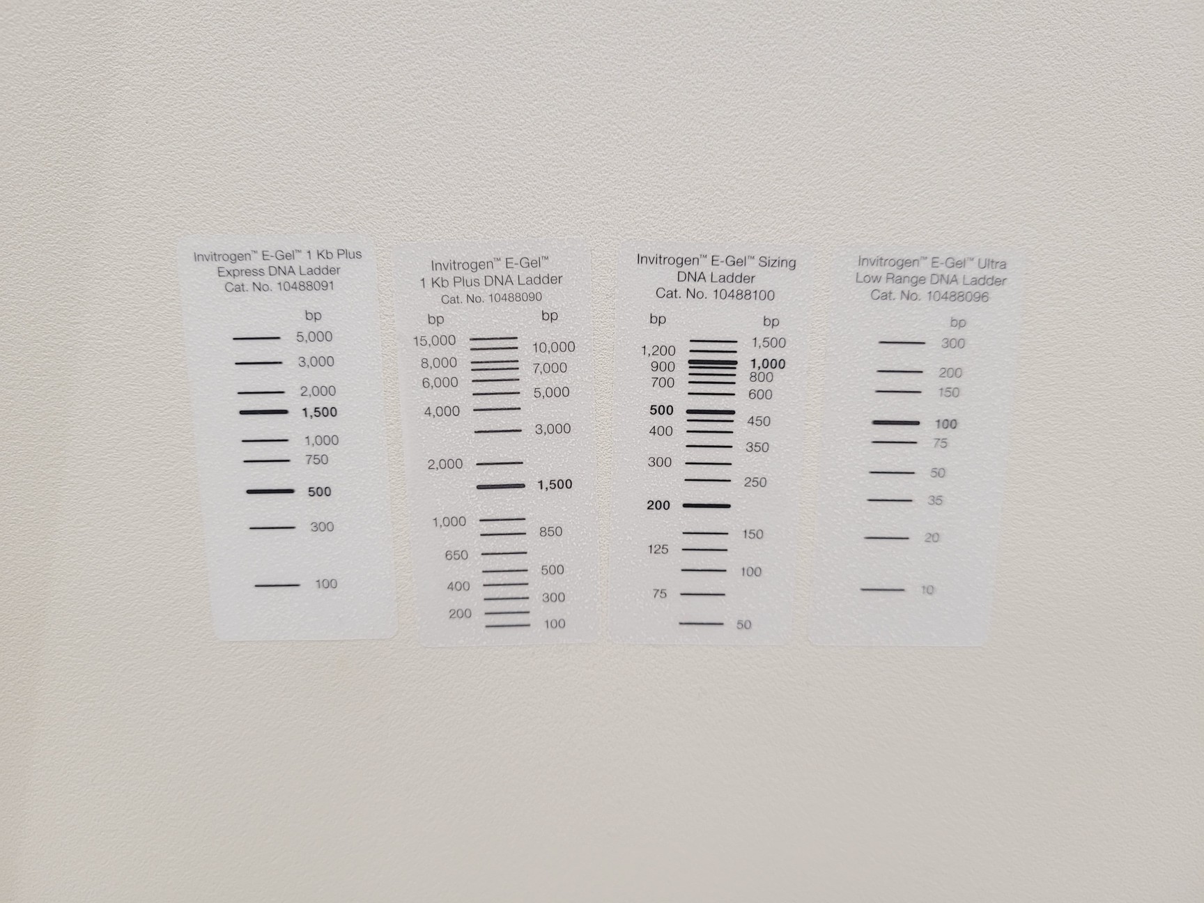 Image of Bio-Rad ChemiDoc MP Imaging System 2023 Lab