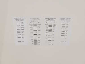 Thumbnail image of Bio-Rad ChemiDoc MP Imaging System 2023 Lab