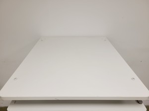 Thumbnail image of Thermo Scientific HERAcell VIOS 250i