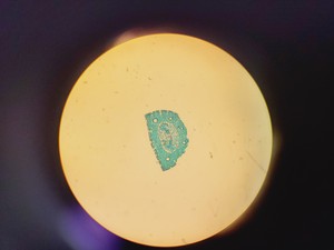 Thumbnail image of Leitz 090-127.017 Labovert FS Microscope