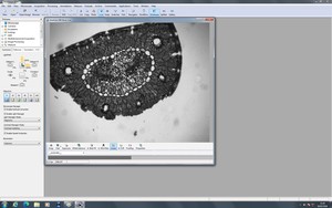 Thumbnail image of Zeiss PALM MicroBeam System with PC & Software