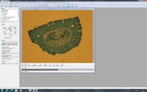 Thumbnail image of Zeiss PALM MicroBeam System with PC & Software