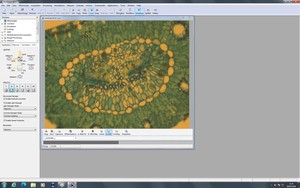 Thumbnail image of Zeiss PALM MicroBeam System with PC & Software