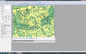 Thumbnail image of Zeiss PALM MicroBeam System with PC & Software