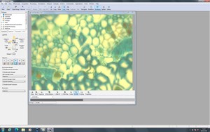 Thumbnail image of Zeiss PALM MicroBeam System with PC & Software