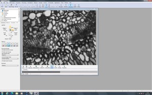 Thumbnail image of Zeiss PALM MicroBeam System with PC & Software