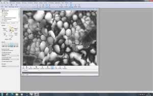Thumbnail image of Zeiss PALM MicroBeam System with PC & Software