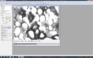 Thumbnail image of Zeiss PALM MicroBeam System with PC & Software