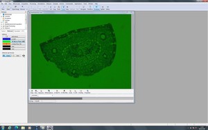 Thumbnail image of Zeiss PALM MicroBeam System with PC & Software