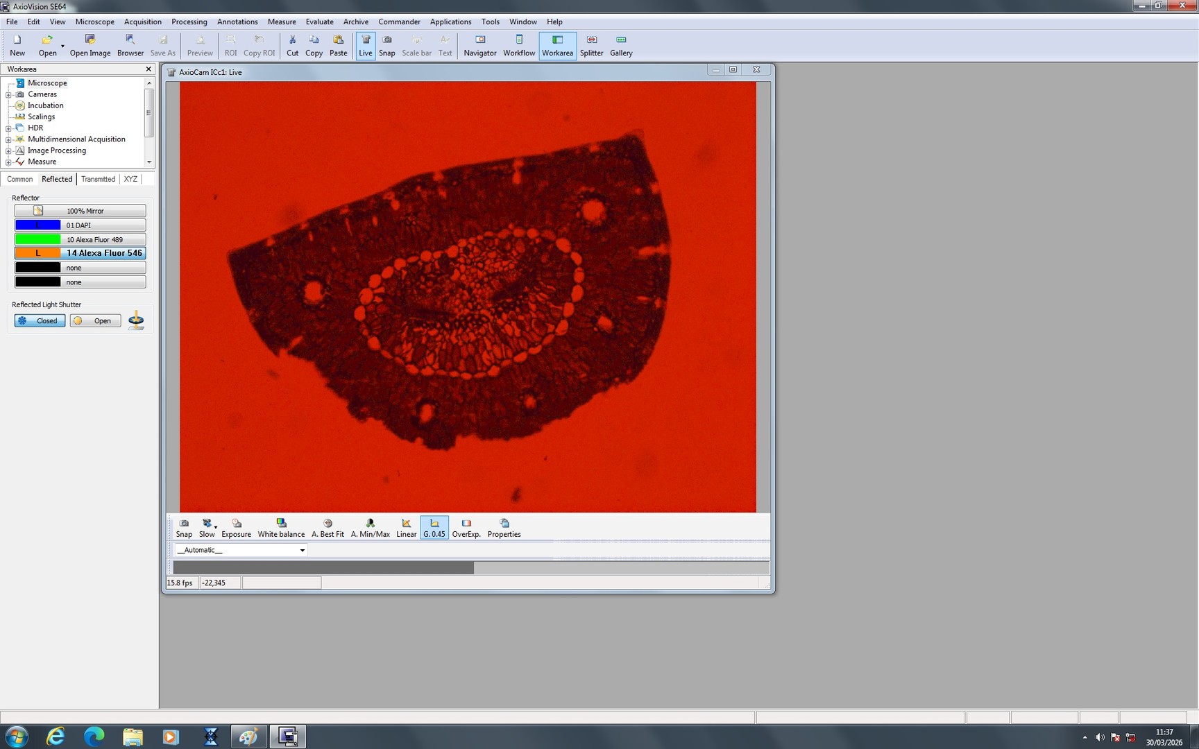 Image of Zeiss PALM MicroBeam System with PC & Software