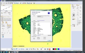 Thumbnail image of Zeiss PALM MicroBeam System with PC & Software