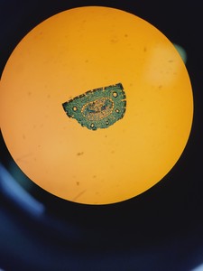 Thumbnail image of Zeiss PALM MicroBeam System with PC & Software