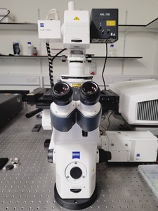 Thumbnail image of Zeiss LSM880 Confocal Microscope System