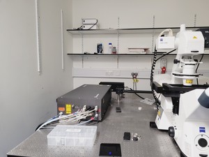 Thumbnail image of Zeiss LSM880 Confocal Microscope System