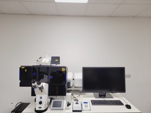 Thumbnail image of Zeiss LSM 880 Confocal Microscope System with Airyscan & Environmental Control