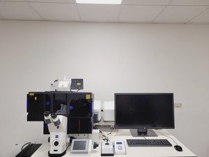 Thumbnail image of Zeiss LSM 880 Confocal Microscope System with Airyscan & Environmental Control