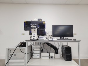 Thumbnail image of Zeiss LSM 880 Confocal Microscope System with Airyscan & Environmental Control