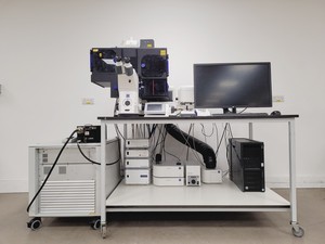 Thumbnail image of Zeiss LSM 880 Confocal Microscope System with Airyscan & Environmental Control