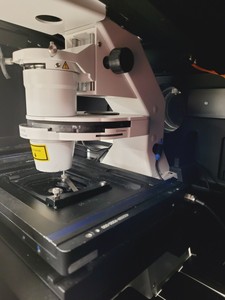 Thumbnail image of Zeiss LSM 880 Confocal Microscope System with Airyscan & Environmental Control
