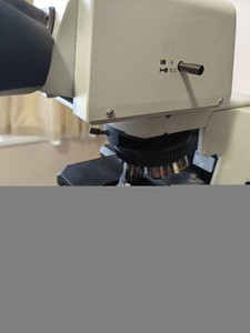 Thumbnail image of Olympus BX51 Microscope w/ 6 x Objectives 1.25/4/10/20/40/60 x Lab