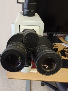 Thumbnail image of Olympus BX51 Microscope w/ 6 x Objectives 1.25/4/10/20/40/60 x Lab