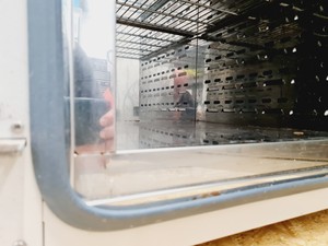 Thumbnail image of VWR INCU-Line 180 Prime Incubator