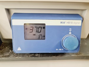 Thumbnail image of IKA RV10 Digital Rotary Evaporator with IKA HB10 Digital Water Bath