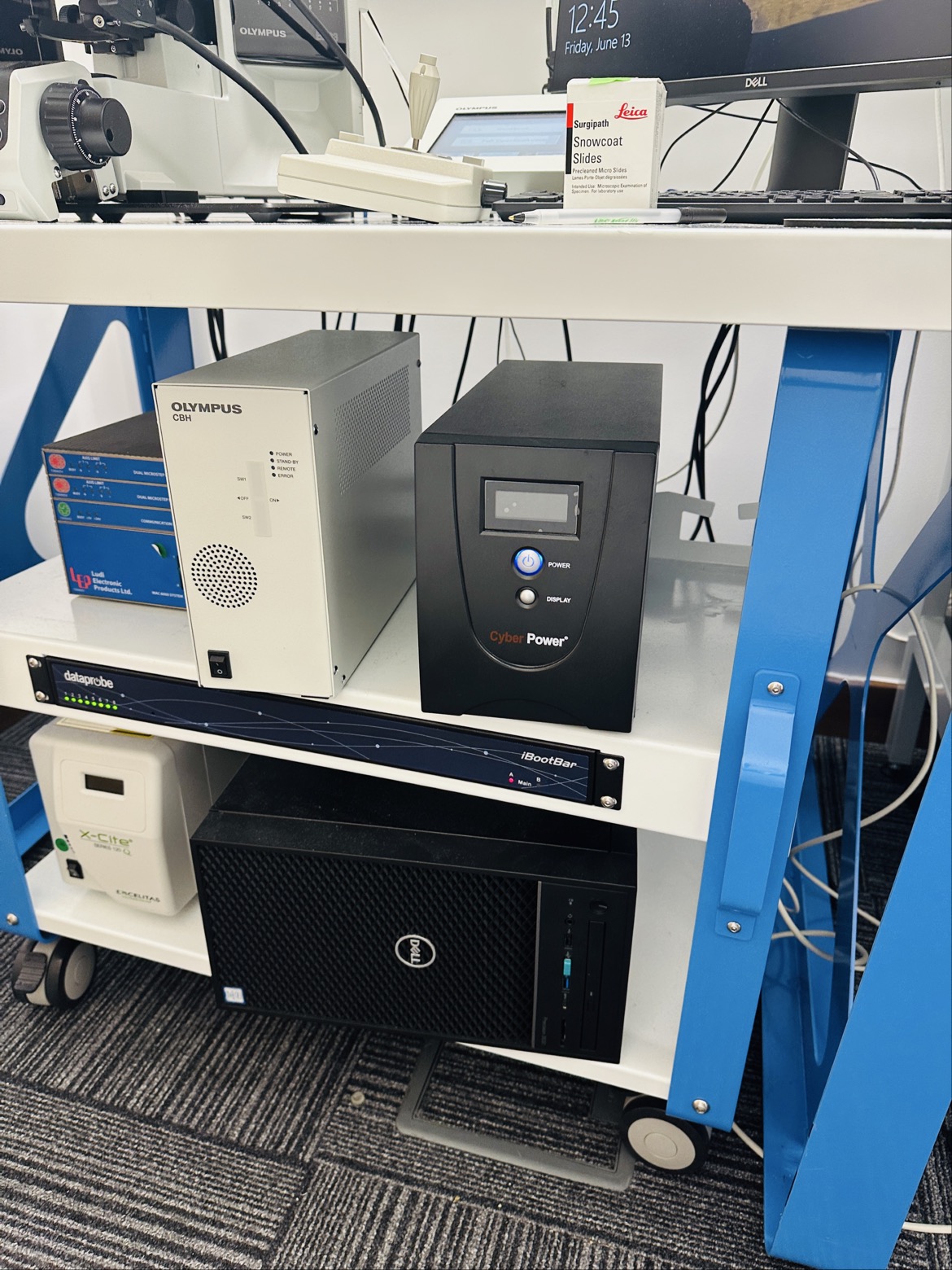 Image of BioView / Olympus BX63 Automated Fluorescence Microscope System (S/N 534) Lab