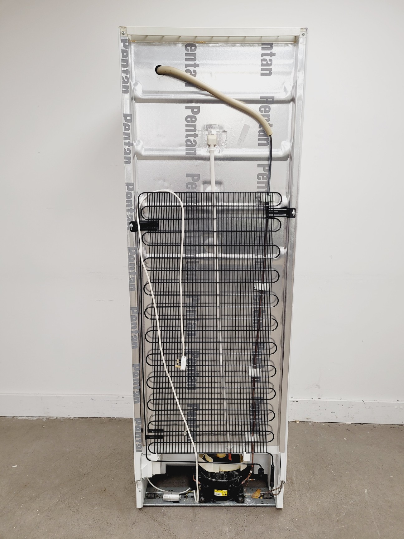 Image of Bosch GSU34421 Logixx Tall -20 Freezer