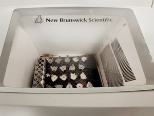 Thumbnail image of Excella E25 Series Incubator Shaker 