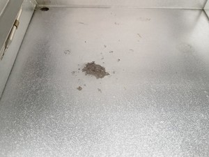 Thumbnail image of Genlab MINI/18/DIG Laboratory Incubator